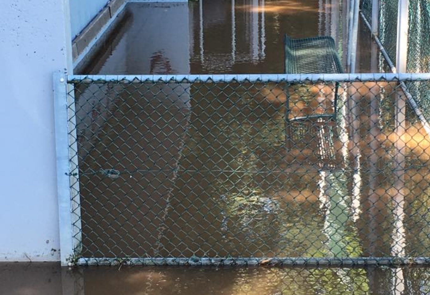 13495266_10206528438761484_4104545261631450638_n 13495266_10206528438761484_4104545261631450638_n