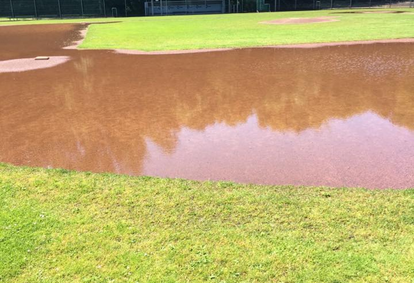 13511946_10206528439401500_2879213985536961580_n 13511946_10206528439401500_2879213985536961580_n