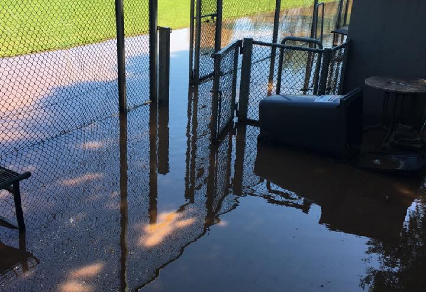 13524329_10206528438561479_3829337083614154660_n 13524329_10206528438561479_3829337083614154660_n