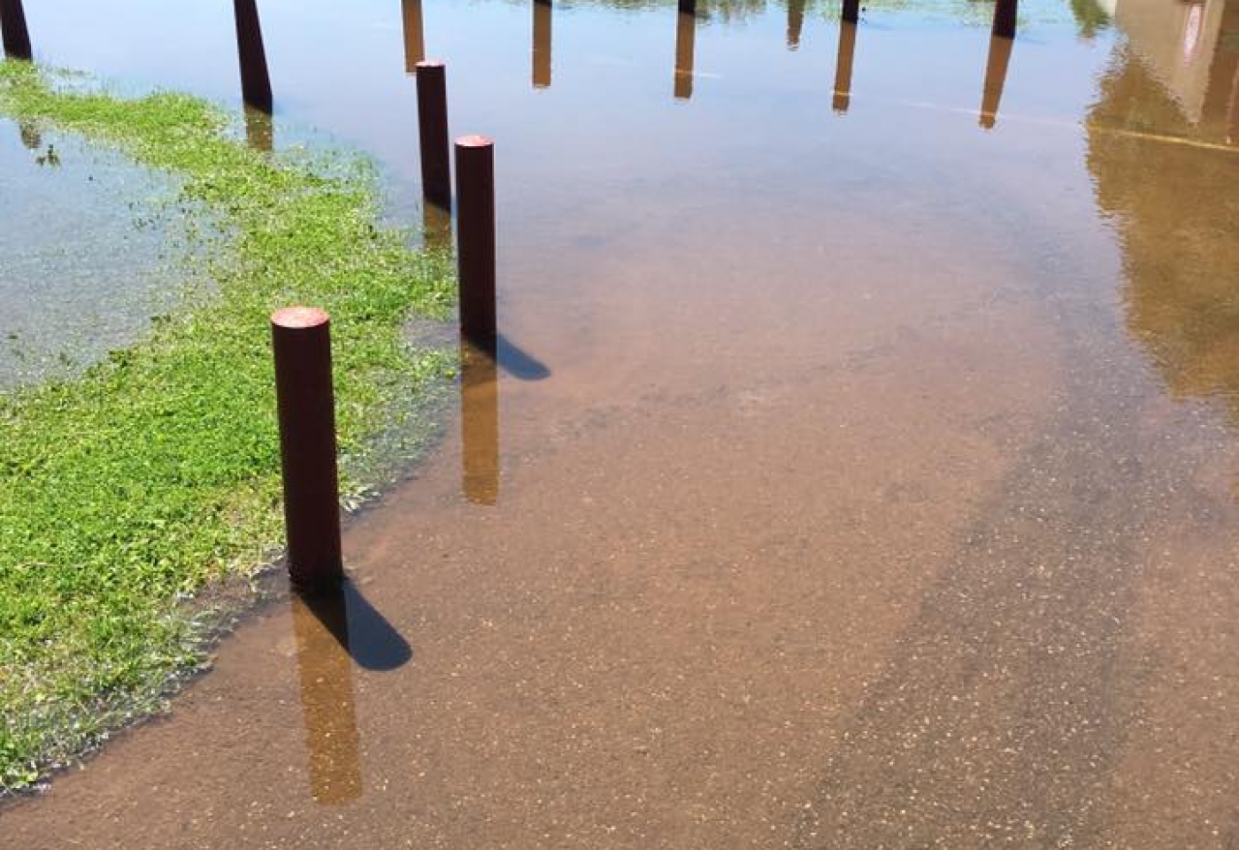 13528818_10206528437401450_2335782966192175303_n 13528818_10206528437401450_2335782966192175303_n