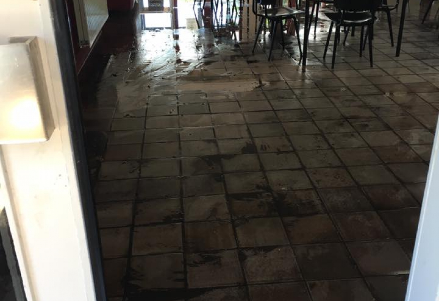 13537663_10206528439641506_979287007689249226_n 13537663_10206528439641506_979287007689249226_n