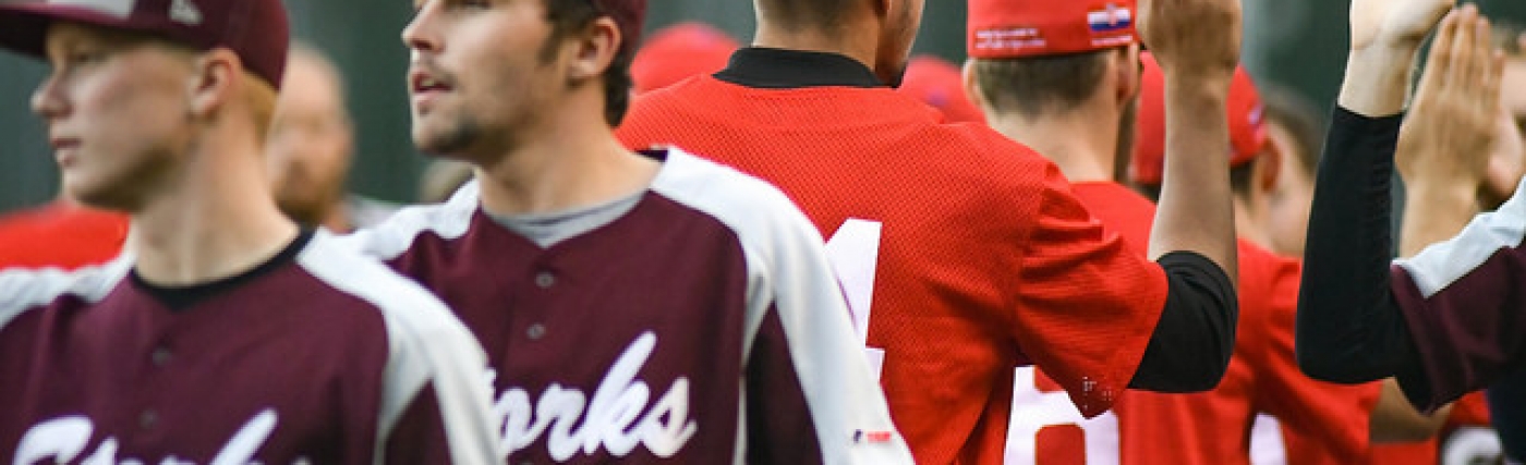 29505847805_3135931e02_z